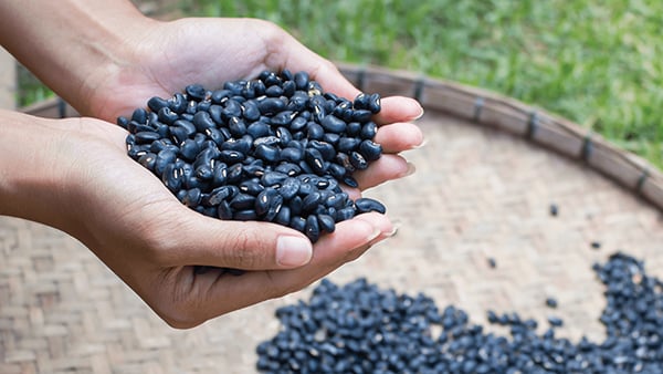 Nếu muốn tăng cảm giác tươi mát cho làn da, bạn có thể phối hợp bột đậu đen với nước cam tươi và dầu hạnh nhân.    