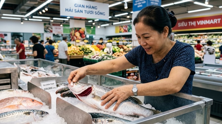 Quan sát mắt, mang, vảy và độ đàn hồi của thịt là những bước đơn giản giúp nhận biết cá còn tươi và đảm bảo chất lượng trước khi mua.