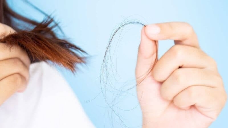 Nhiều người có thói quen gội đầu vào buổi tối rồi đi ngủ ngay khi tóc vẫn còn ẩm