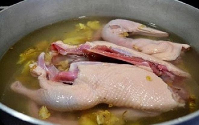 Khi luộc vịt, gừng là một trong những nguyên liệu được nhiều đầu bếp và người nội trợ sử dụng để khử mùi hôi đặc trưng của thịt.