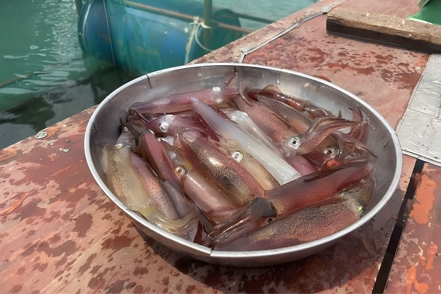 muc-nhay-vung-ang-tuoi-ngon
