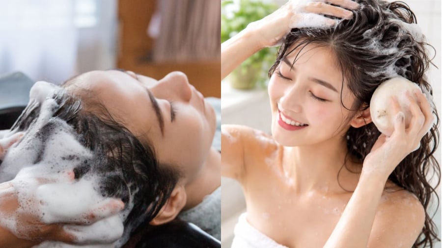 Bạn thường gội đầu mấy lần một tuần?