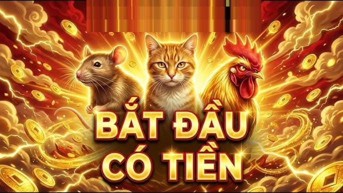 Tài lộc không chỉ đến từ một nguồn mà còn có xu hướng 