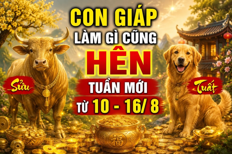 Tuần mới (10-16/8), 4 con giáp làm gì cũng Hên kiếm tiền phơi phới