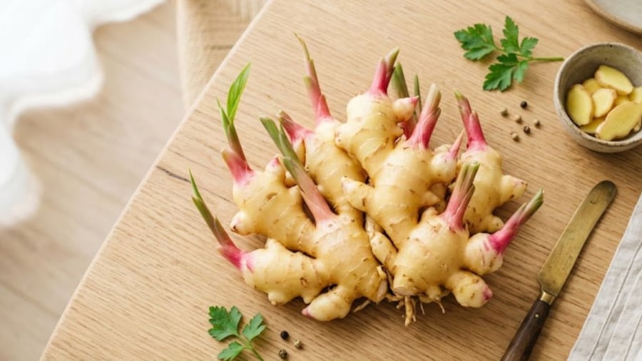 Gừng non có phần đầu màu hồng, khi ngâm sẽ tạo ra màu hồng nhạt tự nhiên cho món gừng ngâm kiểu Nhật.