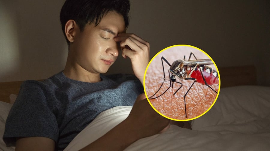 Việc chúng thường xuất hiện, bay vo ve và tìm đến con người vào ban đêm liên quan đến nhịp hoạt động, khả năng cảm nhận môi trường và đặc biệt là cách chúng tìm vật chủ.