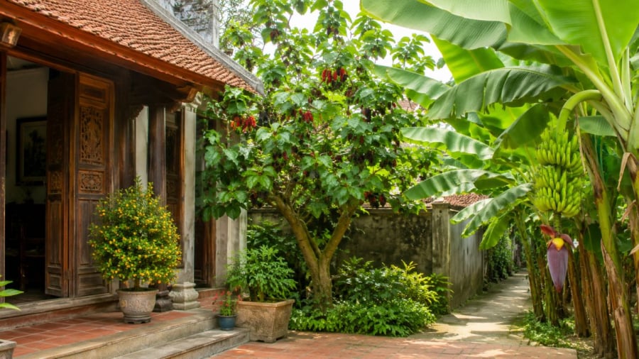 Người xưa cho rằng vị trí đặt dây hợp lý mới phát huy công dụng thực sự
