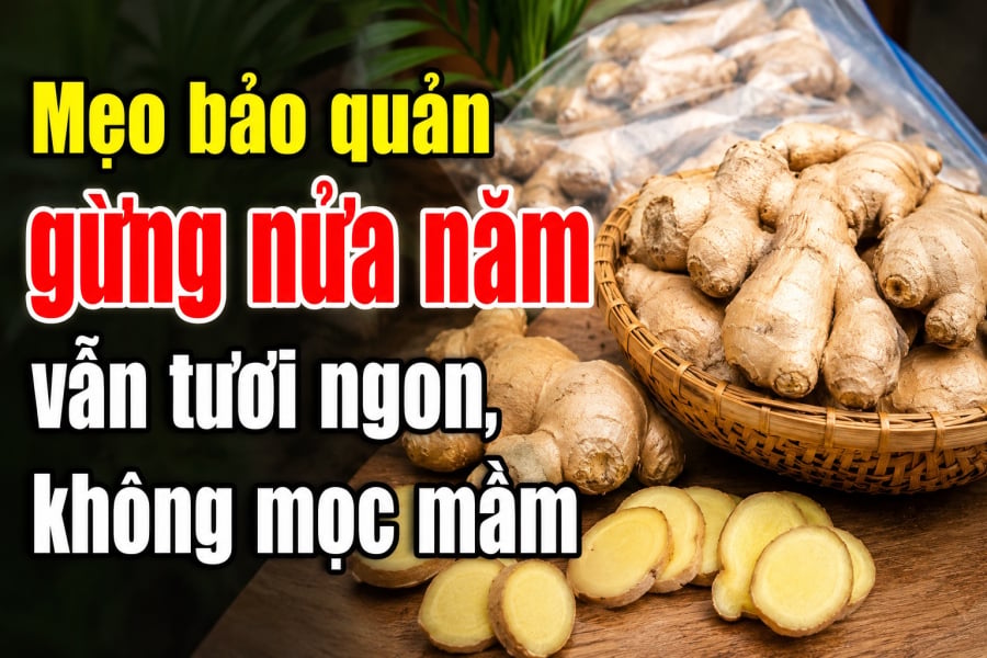 Nếu mỗi lần cần dùng lại phải mua một ít gừng thì khá bất tiện, đặc biệt khi giá gừng thay đổi theo mùa. Vì thế, nhiều người tìm cách bảo quản gừng trong thời gian dài mà vẫn giữ được mùi thơm và chất lượng. 
