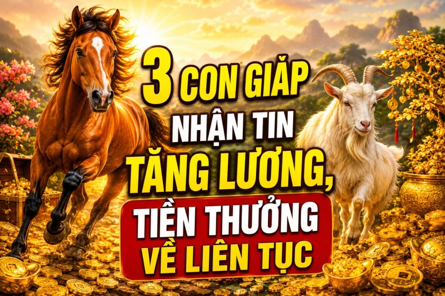3 con giáp nhận tin tăng lương, Tiền thưởng về liên tục