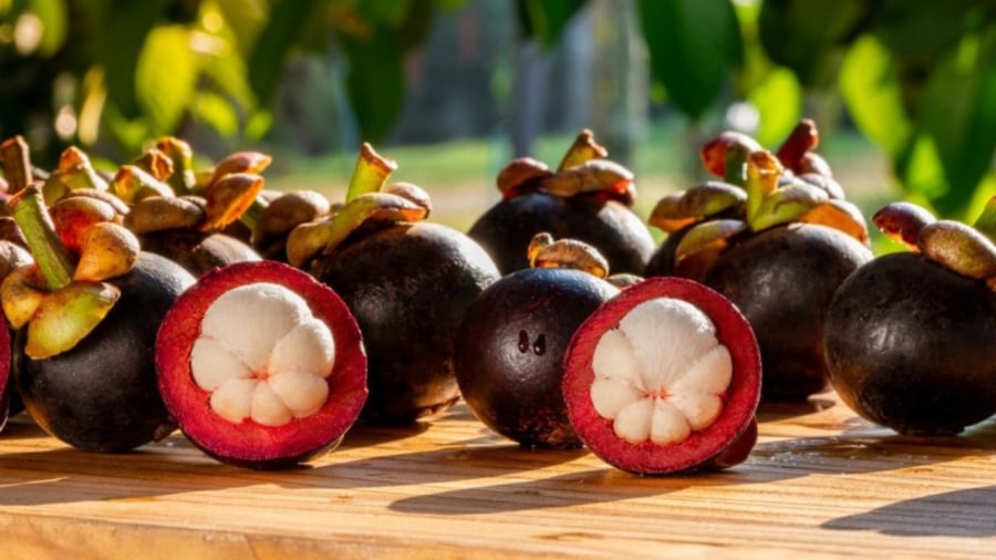 Măng cụt là loại trái cây được nhiều người yêu thích nhờ vị ngọt thanh, mọng nước và phần thịt trắng hấp dẫn