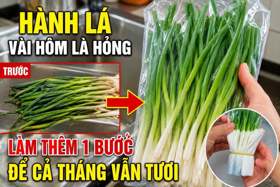 Hành lá vài hôm là hỏng, làm thêm 1 bước để cả tháng vẫn tươi