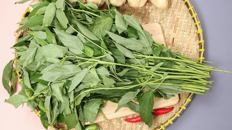 rau-day-la-loai-rau-dan-da-quen-thuoc-trong-mam-com-viet