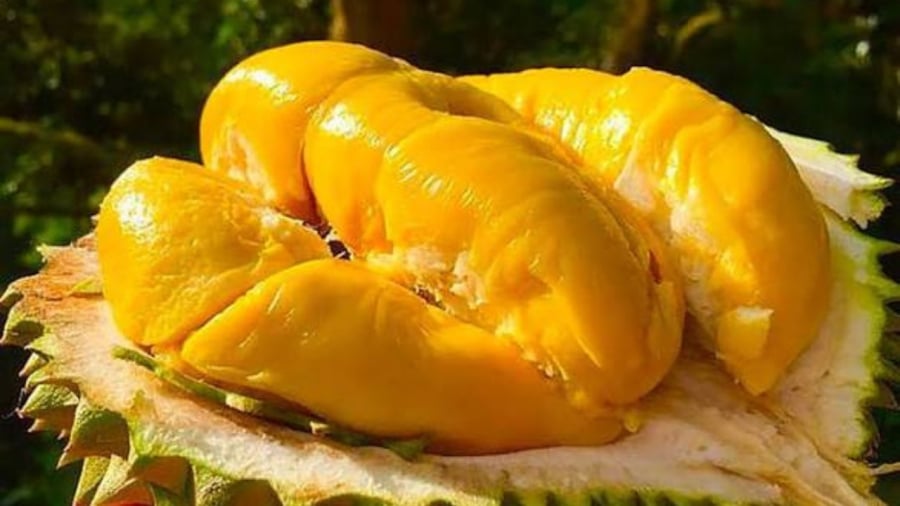 Ai không nên ăn sầu riêng?