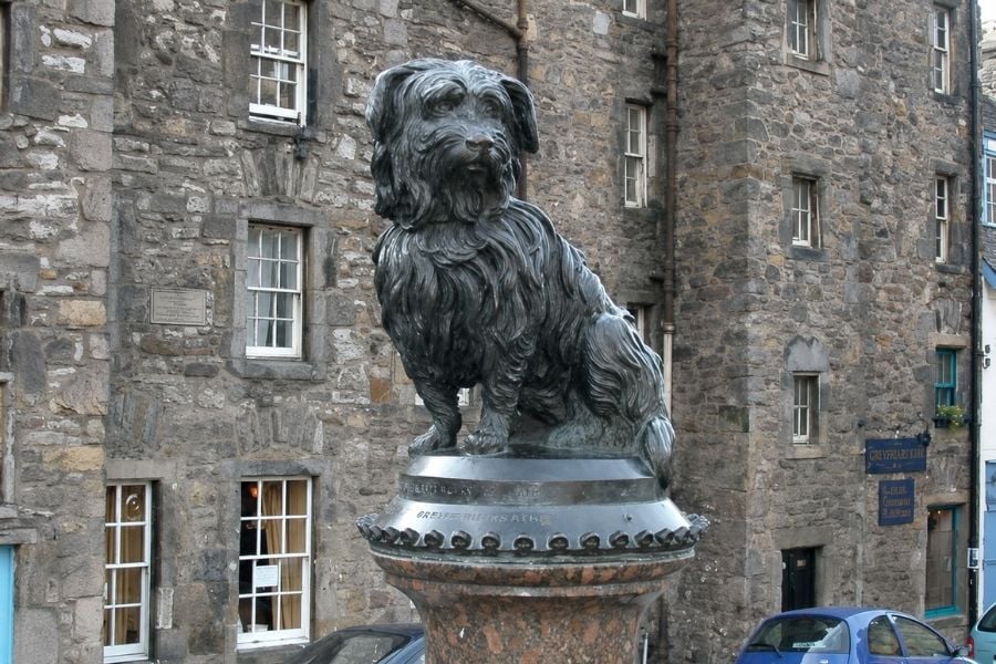 chu-cho-trung-thanh-greyfriars-bobby