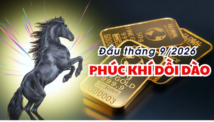 Tháng 9/2026 được xem là khoảng thời gian có nhiều chuyển biến đáng chú ý về công việc, tài chính và chuyện tình cảm.     