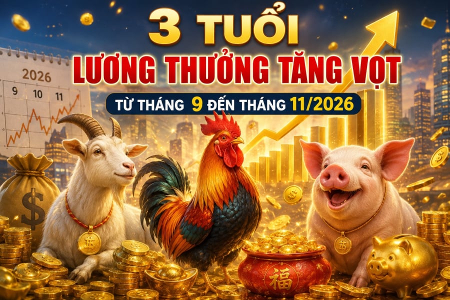 Bước vào những tháng cuối năm 2026, vận trình công việc và tài chính của mỗi người có thể có những chuyển biến đáng chú ý. 