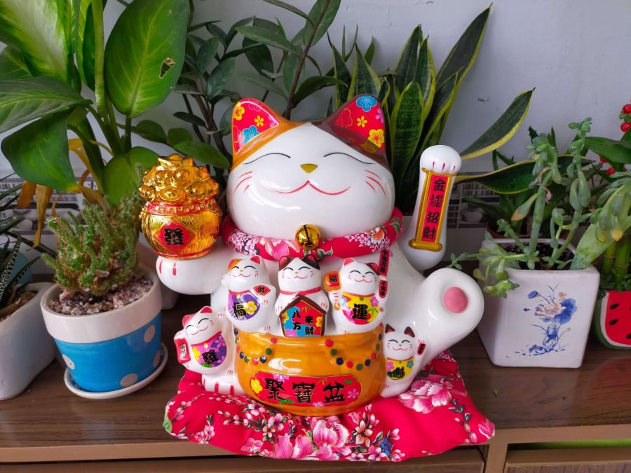 Theo quan niệm phong thủy dân gian, hướng đặt Mèo thần Tài có thể được lựa chọn dựa trên mong muốn của gia chủ và không gian sử dụng. 