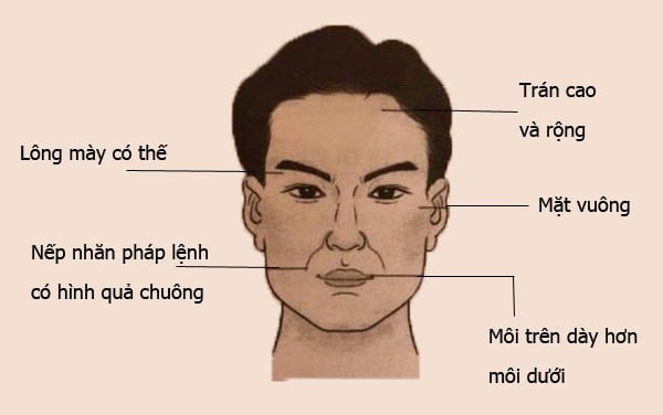 tuong dan ong