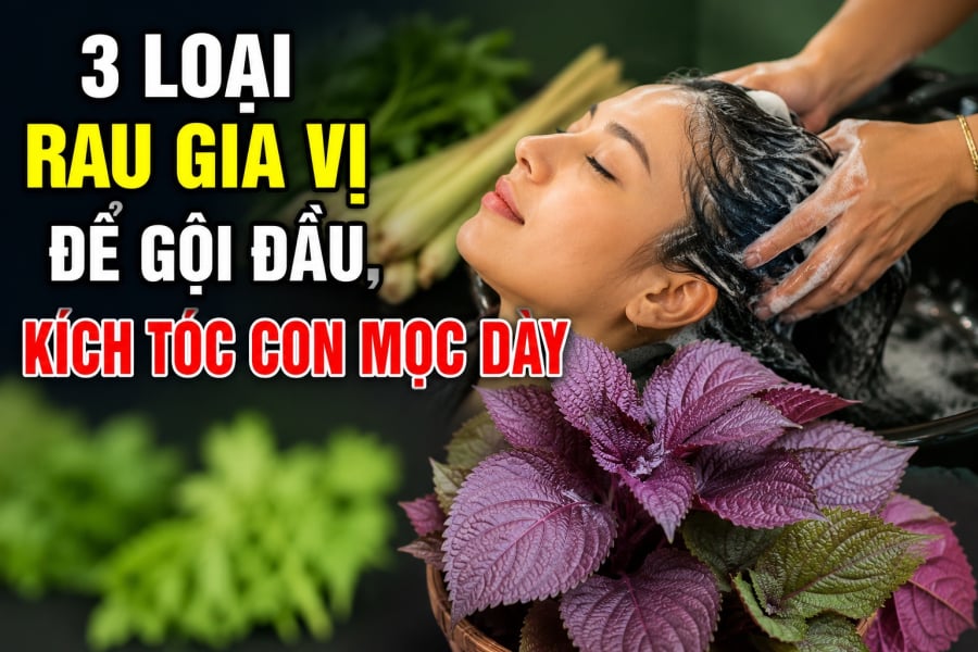 Từ xa xưa, nhiều gia đình đã tận dụng các loại lá, rau thơm để nấu nước gội đầu với mong muốn làm sạch da đầu, giảm cảm giác bết dầu và giúp mái tóc mềm mại hơn.