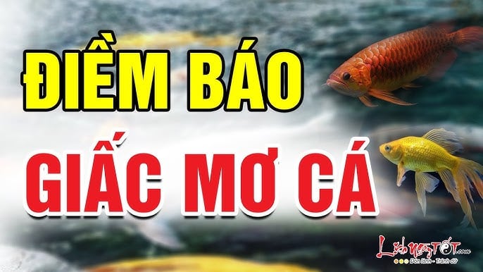 giac mo ca