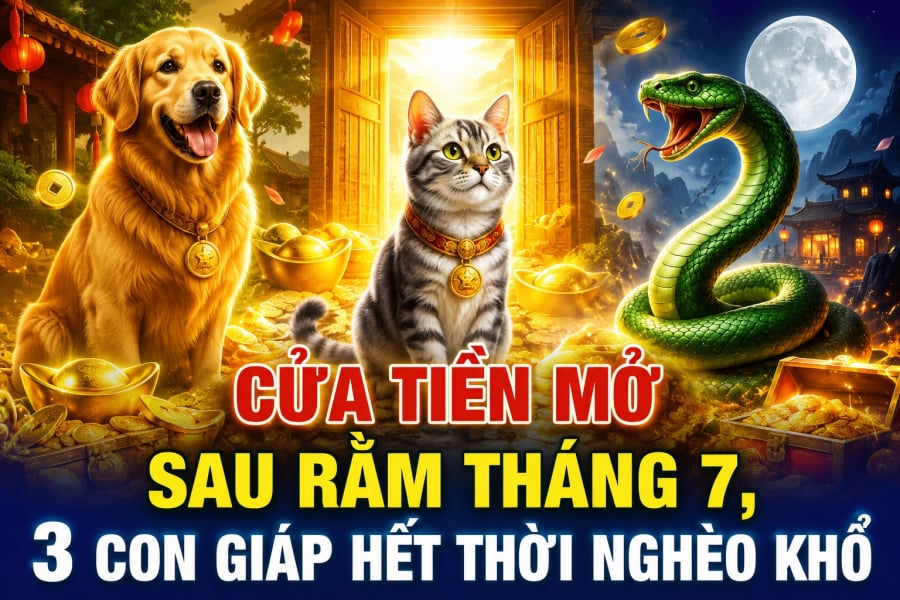 Sau Rằm tháng 7, vận trình của mỗi người có thể có những chuyển biến khác nhau. Theo quan niệm tử vi dân gian, đây là khoảng thời gian nhiều con giáp bước sang một nhịp vận mới, đặc biệt ở phương diện công việc và tài lộc. 