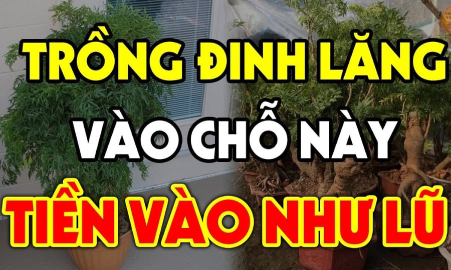 dinh-lang