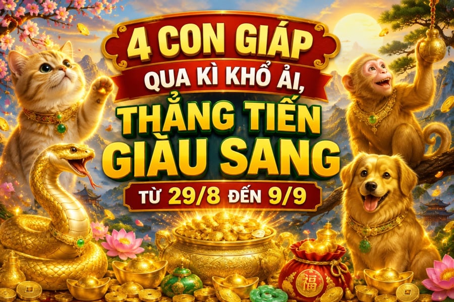 Đây là lúc những nỗ lực âm thầm trước đó bắt đầu cho thấy kết quả. Có người gặp được Quý Nhân, có người tìm thấy cơ hội kiếm tiền mới, cũng có người bất ngờ nhận được khoản thu ngoài dự tính.