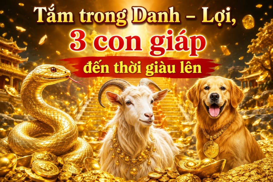 Theo quan niệm tử vi 12 con giáp, thời gian tới có 3 con giáp được xem là bước vào giai đoạn sáng cửa về cả Danh lẫn Lợi. 