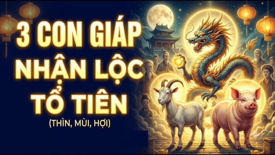 Không chỉ dễ gặp may trong công việc, họ còn có khả năng đón thêm cơ hội kiếm tiền, được người khác hỗ trợ hoặc nhận tin vui liên quan đến tài chính.