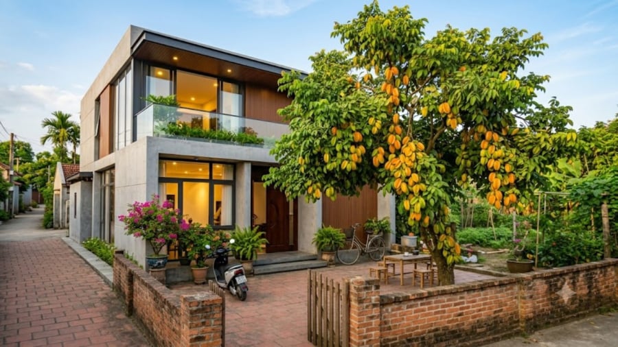3 vị trí tốt nhất trồng cây Khế hút tài lộc, trấn giữ của cải