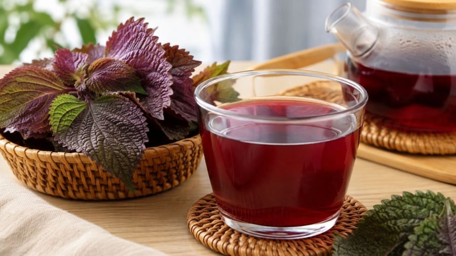 Không phải cứ dùng nước tía tô là tốt