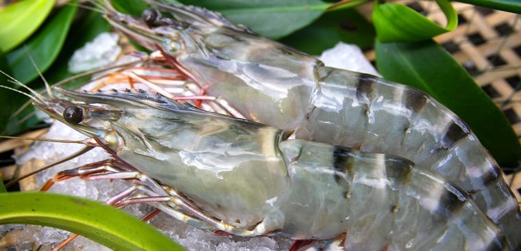 Chọn tôm vỏ xanh hay vỏ trắng