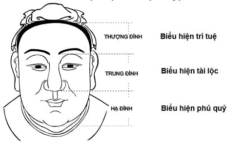 tuong giau