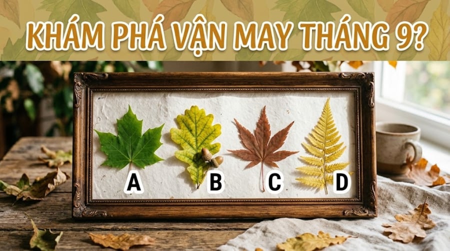 Trong trắc nghiệm vui dưới đây, hãy nhìn 4 chiếc lá và chọn một chiếc lá đầu tiên khiến bạn có cảm giác yêu thích hoặc muốn chạm vào nhất.     
