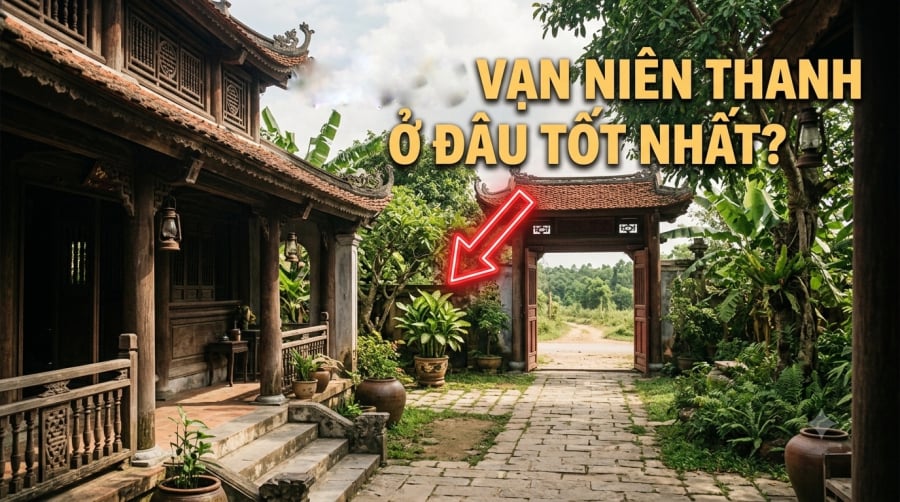 Vậy đâu là vị trí thích hợp nhất để trồng và đặt Vạn niên thanh? Hãy cùng tìm hiểu để vừa giúp cây phát triển xanh tốt, vừa tạo được không gian hài hòa cho ngôi nhà.    