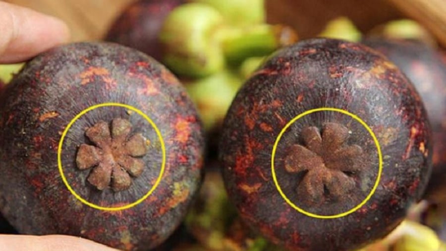 Đừng bỏ qua hình dáng và phần đáy quả    