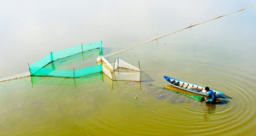 tha-luoi-bat-ca-linh