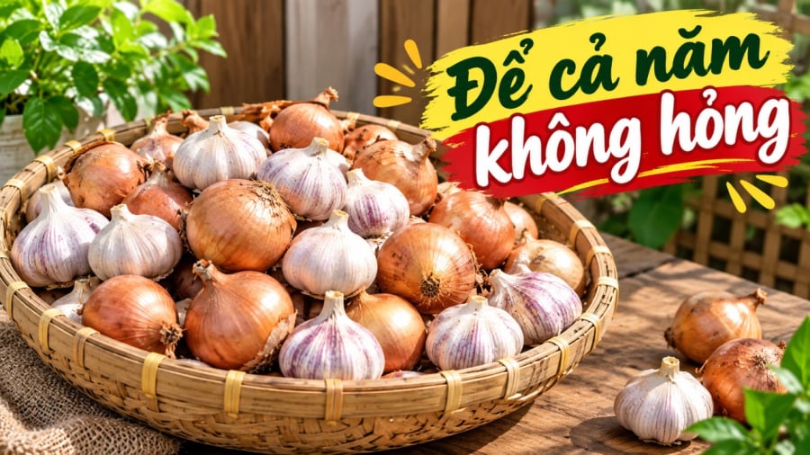 Mẹo bảo quản hành tỏi cả năm không mốc, ọp