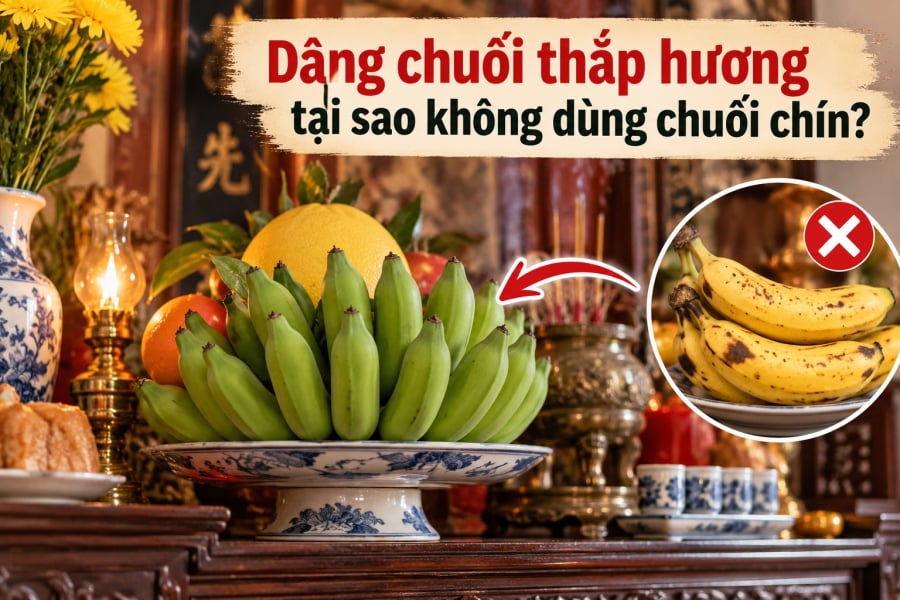 Chuối xanh cứng cáp, giữ được lâu, ít rụng quả và có thể nâng đỡ các loại trái cây khác trên mâm ngũ quả. Trong khi đó, chuối chín mềm, nhanh xuống màu, dễ rụng và thu hút côn trùng nếu được đặt trên bàn thờ trong thời gian dài.