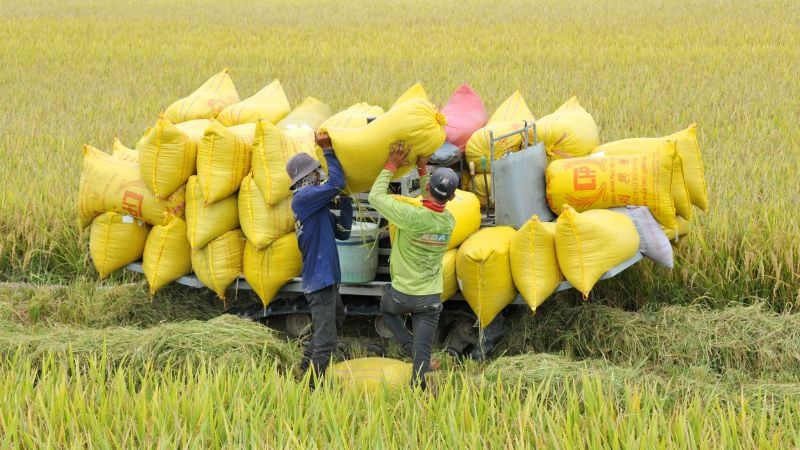 tang-san-xuat-luong-thuc-tai-dia-phuong-la-mot-trong-nhung-huong-giup-giam-chi-phi