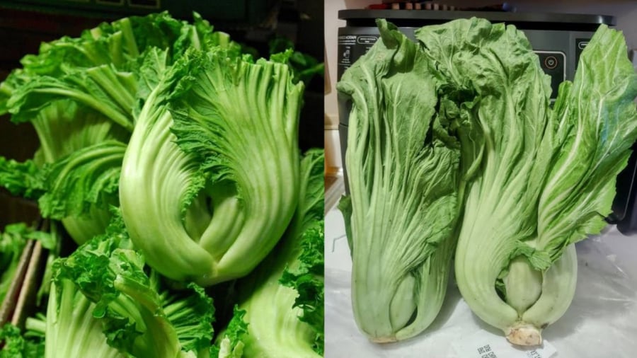 Cải bẹ xanh mang lại nhiều lợi ích cho sức khỏe.