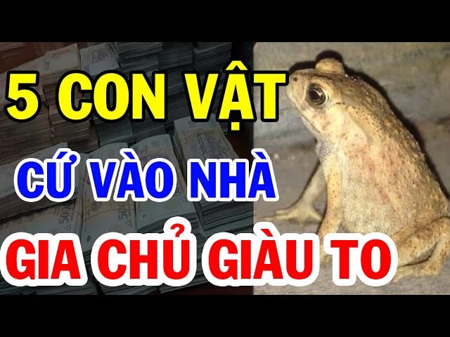 con vat may man