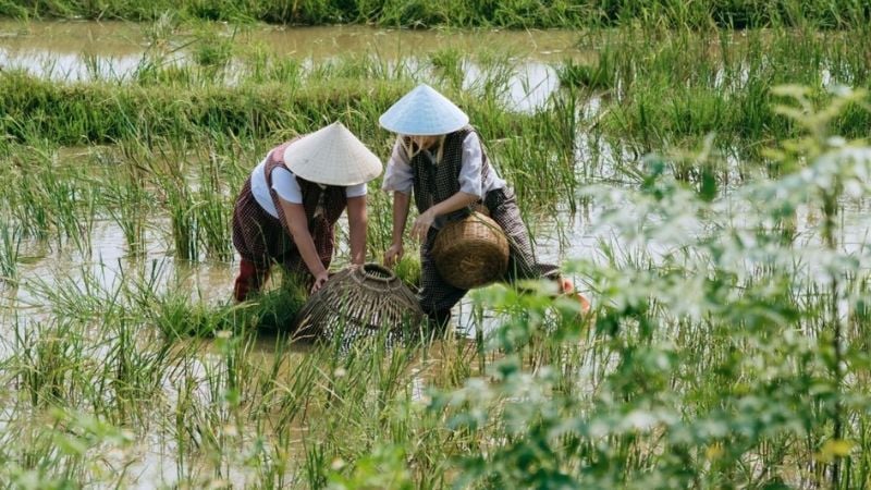 dau-chan-tinh-than-dua-ba-me-va-con-cai-vao-nhung-chuyen-di