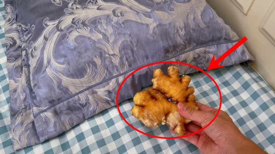 Tại sao bạn nên để một củ gừng dưới gối?