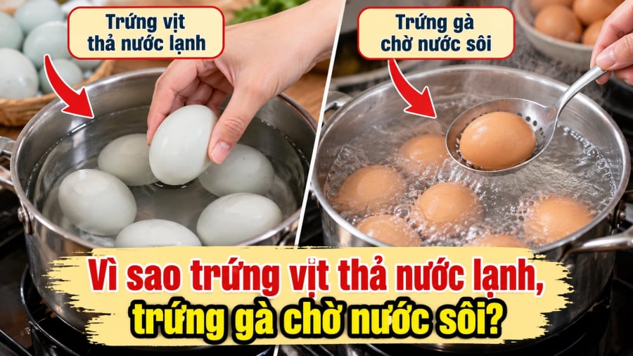 Trứng luộc tưởng là món ăn đơn giản nhất trong gian bếp, chỉ cần cho vào nồi nước rồi đun chín. Thế nhưng, nếu để ý kinh nghiệm nấu nướng của nhiều người, bạn sẽ thấy có cách truyền miệng rằng trứng vịt nên bắt đầu luộc từ nước lạnh, trong khi trứng gà có thể cho vào khi nước đã nóng hoặc sôi nhẹ.     