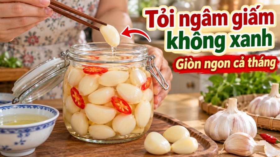 Nước giấm nên được đun cùng đường, muối rồi để nguội hoàn toàn trước khi ngâm. Hũ đựng phải sạch, khô và tỏi luôn ngập trong giấm. Làm đúng các bước này, tỏi có thể giữ độ giòn, thơm ngon trong nhiều tuần.    