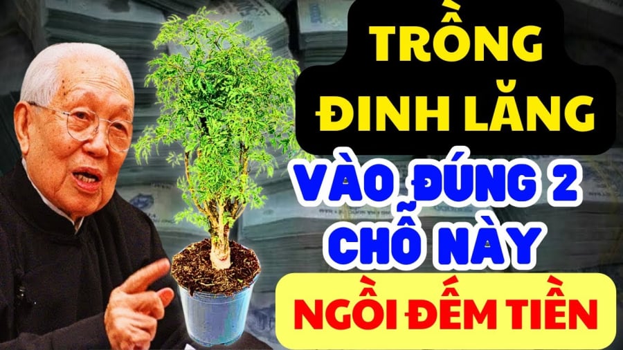 lang