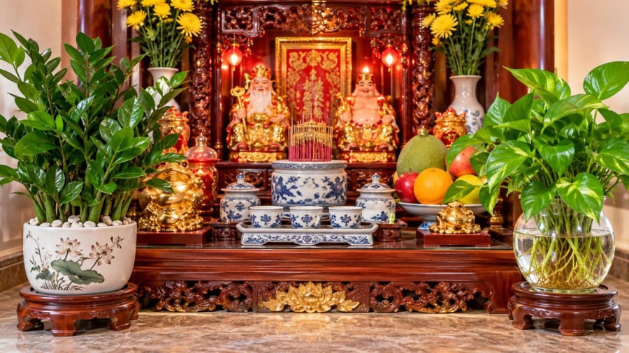 Bạn trồng cây thủy sinh hay trong chậu đất?