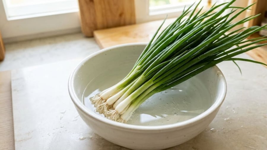 Trước khi bảo quản hành lá, bạn nên ngâm hành trong nước muối và nước baking soda pha loãng.