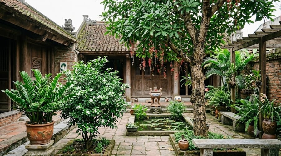 Có những loại cây xanh tốt, dáng đẹp, được tin là tượng trưng cho tiền tài và sự thịnh vượng. Ngược lại, một số loại cây nếu trồng sai vị trí, phát triển quá rậm rạp hoặc làm cản trở lối đi có thể khiến mặt tiền trở nên bí bách, thiếu gọn gàng.    